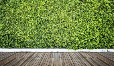 Muro verde artificial con deck de madera