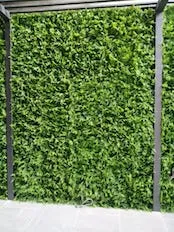 Muro verde artificial en exterior